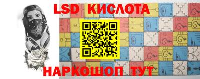 амф Гусев