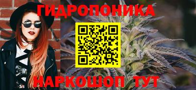 амф Гусев