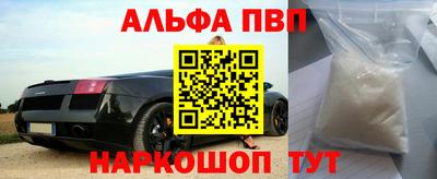 амф Гусев