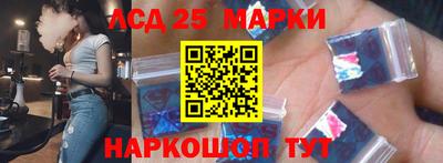 амф Гусев